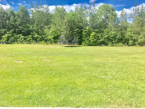 190 Big Hill Rd, Sumrall, MS 39482 photo 2