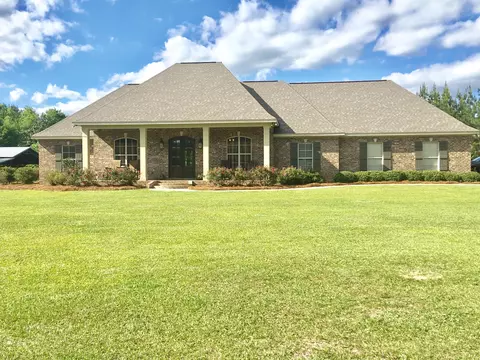 190 Big Hill Rd, Sumrall, MS 39482 photo 1