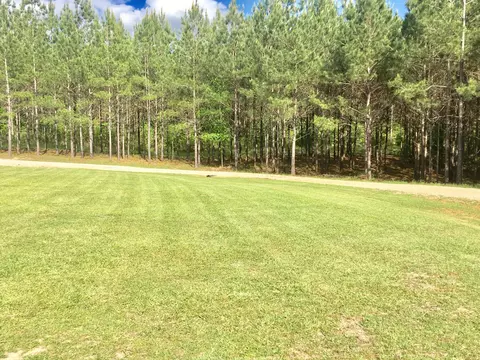 190 Big Hill Rd, Sumrall, MS 39482 photo 12