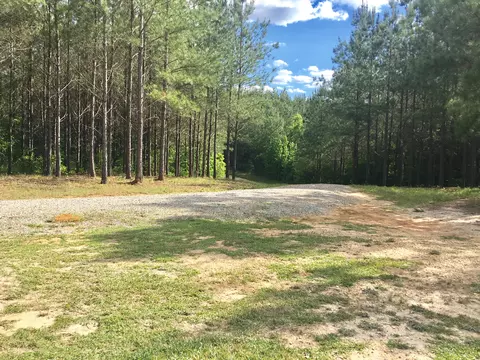 190 Big Hill Rd, Sumrall, MS 39482 photo 11