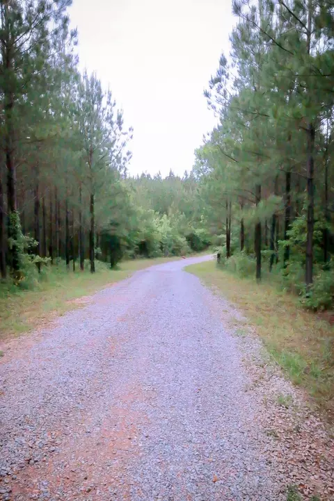 190 Big Hill Rd, Sumrall, MS 39482 photo 16