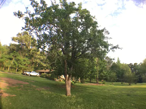 70 Corinth Rd, Petal, MS 39465 photo 19