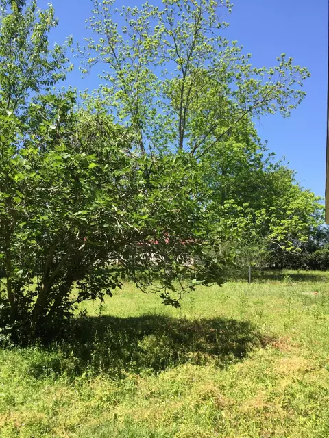 13 Ledbetter Dr, Purvis, MS 39475 photo 14