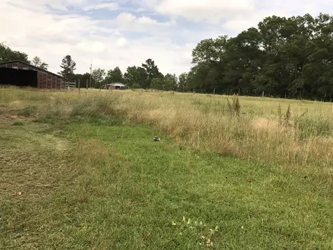 134 Coats Rd, Mount Olive, MS 39119 photo 15