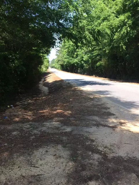 198 Ramsey Rd, Mount Olive, MS 39119 photo 3