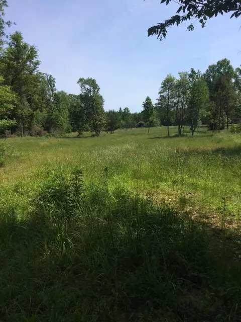 198 Ramsey Rd, Mount Olive, MS 39119 photo 2