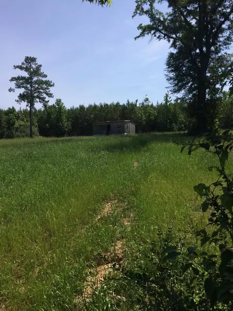 198 Ramsey Rd, Mount Olive, MS 39119 photo 4