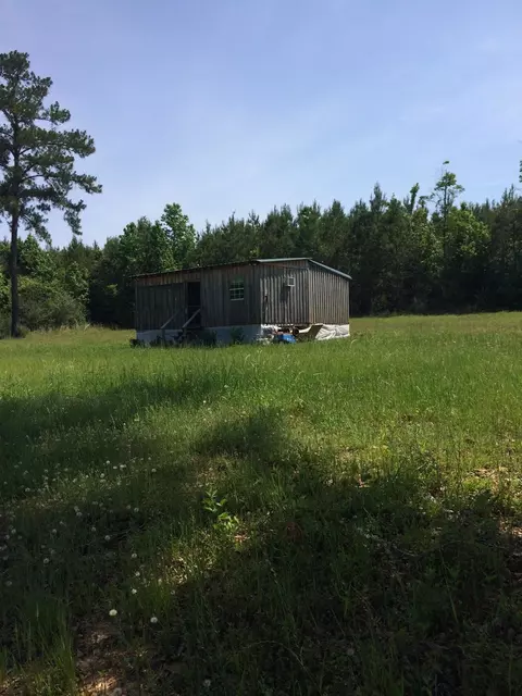 198 Ramsey Rd, Mount Olive, MS 39119 photo 7