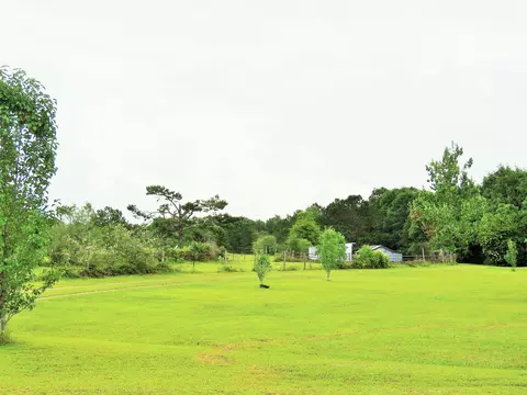 484 Baker Rd, Purvis, MS 39475 photo 20