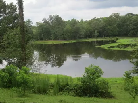 25 Cecil Taylor, Laurel, MS 39443 photo 4