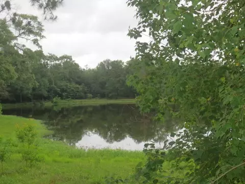 25 Cecil Taylor, Laurel, MS 39443 photo 19
