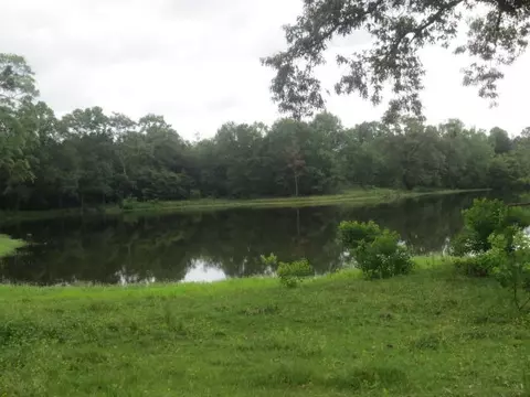 25 Cecil Taylor, Laurel, MS 39443 photo 17
