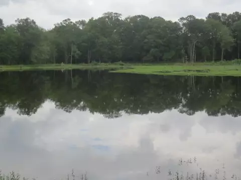 25 Cecil Taylor, Laurel, MS 39443 photo 23