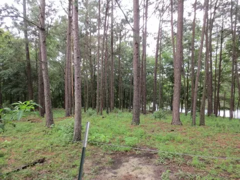 25 Cecil Taylor, Laurel, MS 39443 photo 10