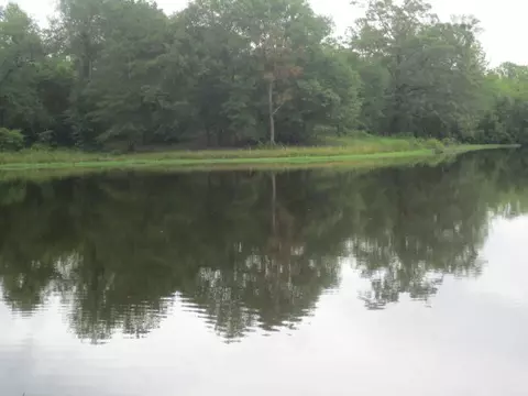 25 Cecil Taylor, Laurel, MS 39443 photo 24