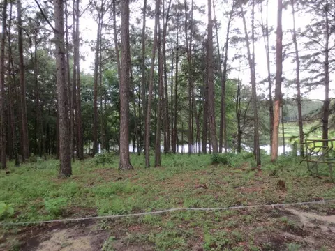 25 Cecil Taylor, Laurel, MS 39443 photo 11
