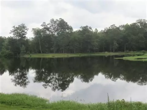 25 Cecil Taylor, Laurel, MS 39443 photo 21