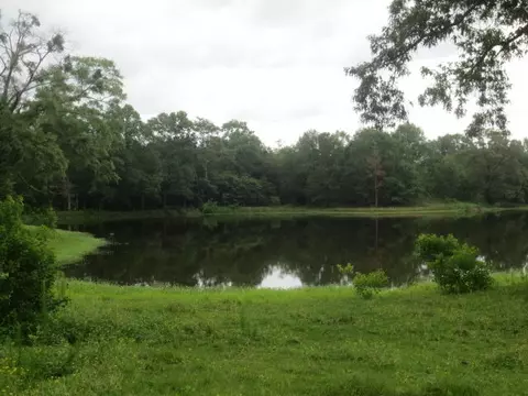 25 Cecil Taylor, Laurel, MS 39443 photo 16