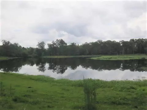 25 Cecil Taylor, Laurel, MS 39443 photo 20