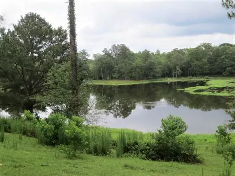 25 Cecil Taylor, Laurel, MS 39443 photo 1