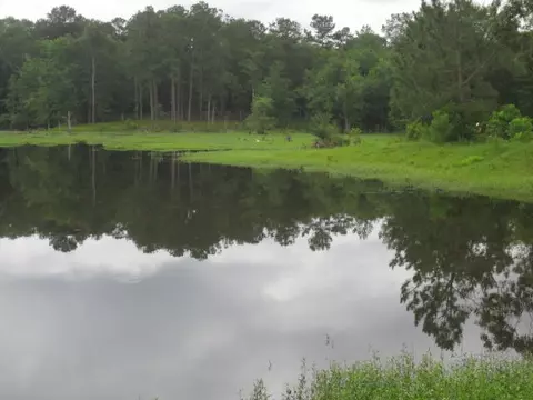 25 Cecil Taylor, Laurel, MS 39443 photo 22