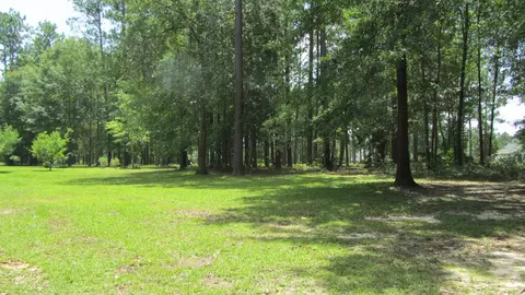 1344 Fairway Dr, Wiggins, MS 39577 photo 58