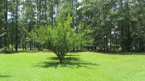 1344 Fairway Dr, Wiggins, MS 39577 photo 61
