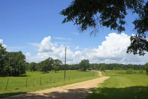 549 Carnes Rd, Wiggins, MS 39577 photo 33