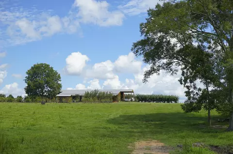 549 Carnes Rd, Wiggins, MS 39577 photo 21