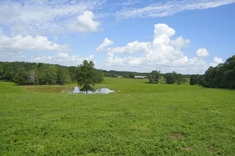 549 Carnes Rd, Wiggins, MS 39577 photo 29