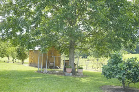 549 Carnes Rd, Wiggins, MS 39577 photo 32