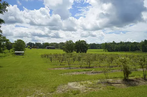 549 Carnes Rd, Wiggins, MS 39577 photo 25