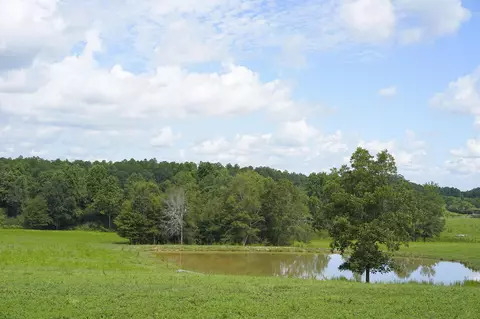 549 Carnes Rd, Wiggins, MS 39577 photo 30