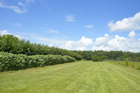 549 Carnes Rd, Wiggins, MS 39577 photo 31