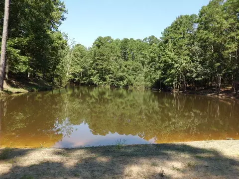 20 Oak Ledge, Purvis, MS 39475 photo 43