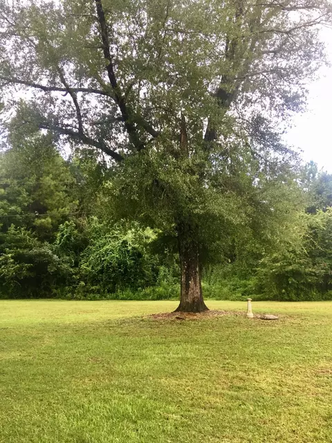 22 Stringer Loop, Foxworth, MS 39483 photo 25