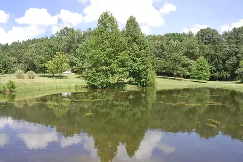 20 Hawk Dr, Purvis, MS 39475 photo 29