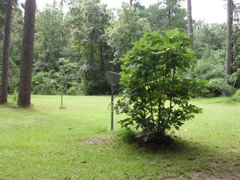 51 Rockhill To Brooklyn, Brooklyn, MS 39425 photo 13
