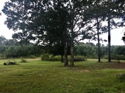 147 Crooked Rd, Laurel, MS 39443 photo 3