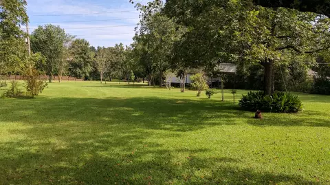 294 Mcmahon Rd, Purvis, MS 39475 photo 9