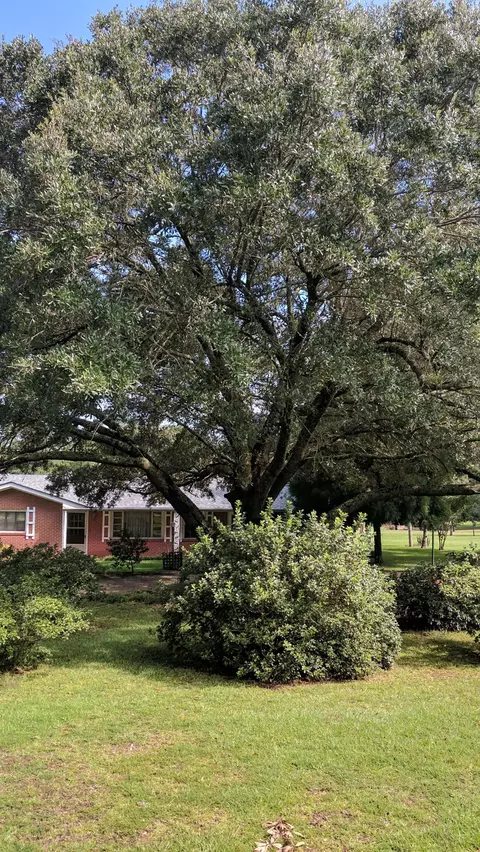 294 Mcmahon Rd, Purvis, MS 39475 photo 7