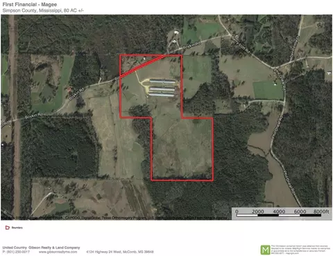 228 Boykin Rd, Magee, MS 39119 photo 1
