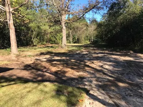 2 Barding Ln, Petal, MS 39465 photo 4