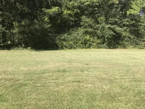 718 Trace Rd, Laurel, MS 39443 photo 2