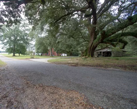 74 Moonshadow Ln, Sumrall, MS 39482 photo 2
