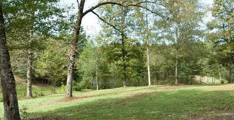 89 Brewer Rd, Purvis, MS 39475 photo 4