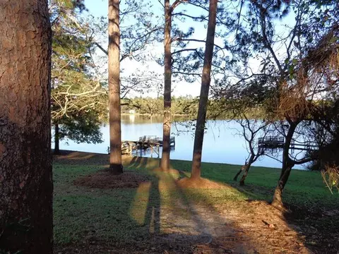 47 Lakeview Dr, Purvis, MS 39475 photo 5