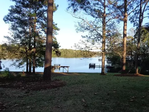 47 Lakeview Dr, Purvis, MS 39475 photo 9