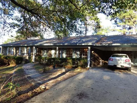47 Lakeview Dr, Purvis, MS 39475 photo 2