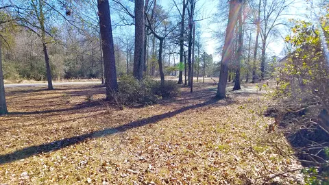33 Buckley Rd, Laurel, MS 39443 photo 29